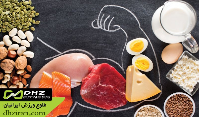 منابع پروتئین حیوانی مناسب برای بدنسازی 